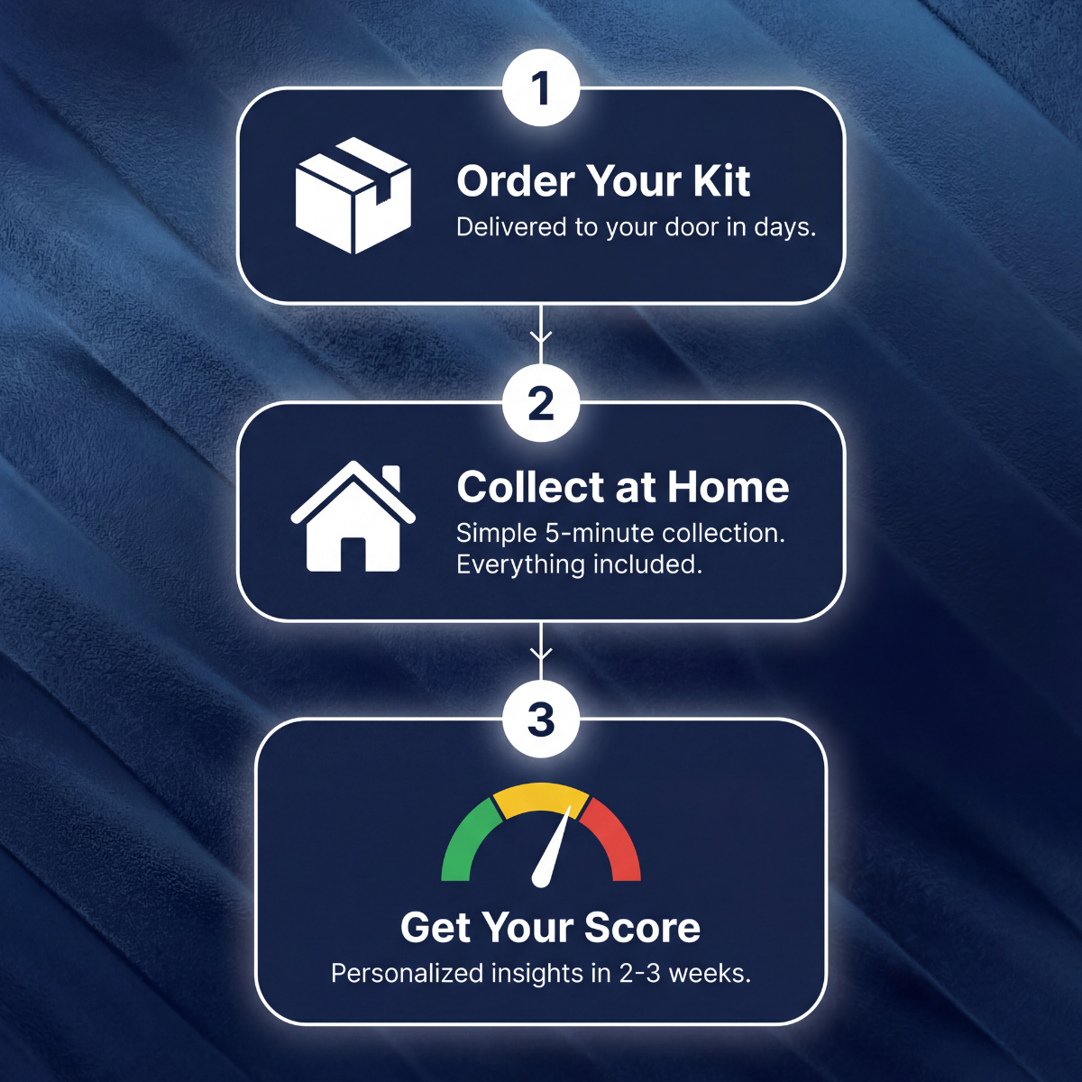 Gut-Brain Wellness Test