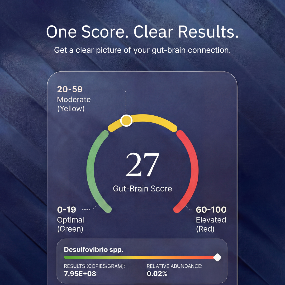 Gut-Brain Wellness Test
