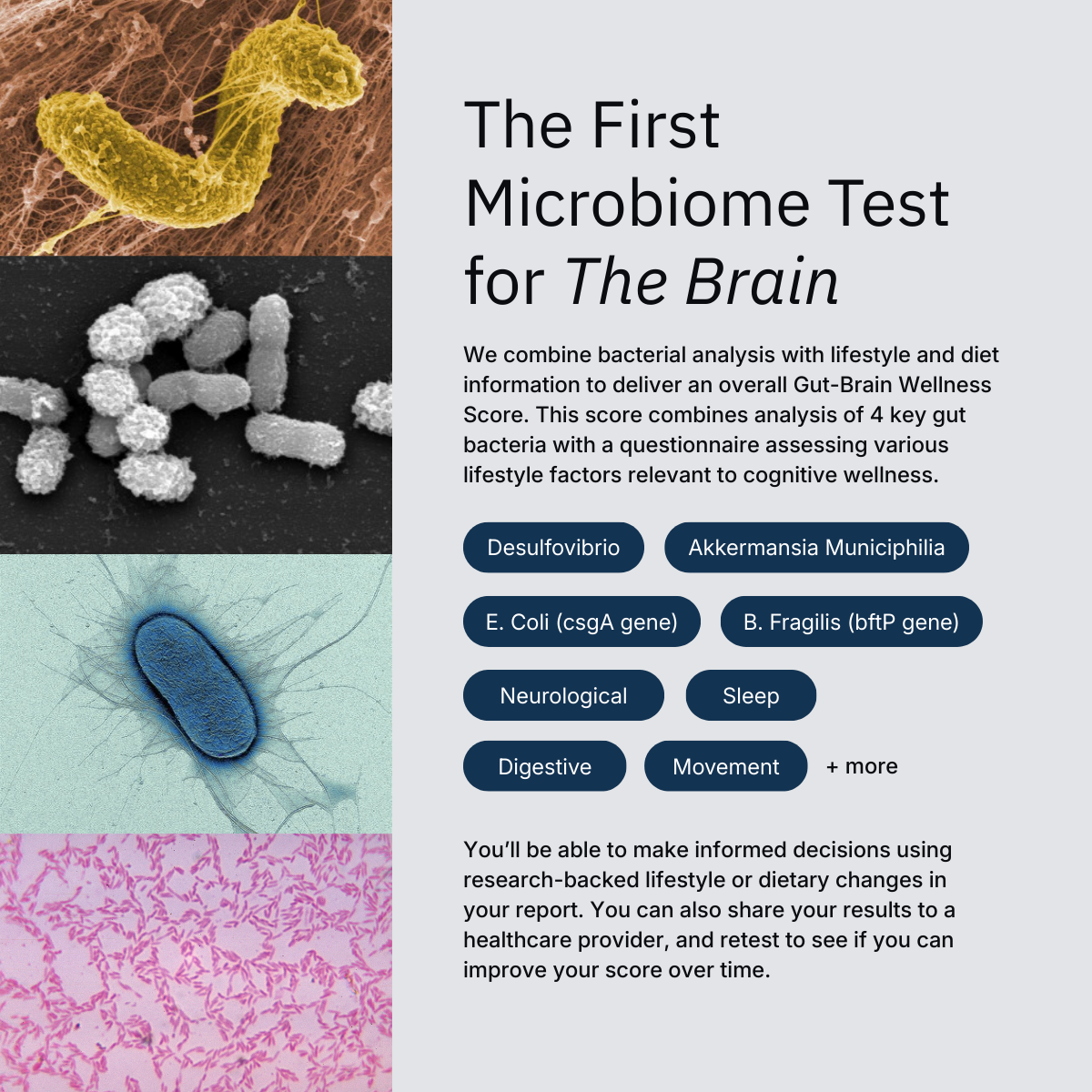 Gut-Brain Wellness Test